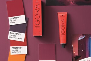 IGORA ROYAL Mix Collection van<strong> Schwarzkopf Professional</strong>