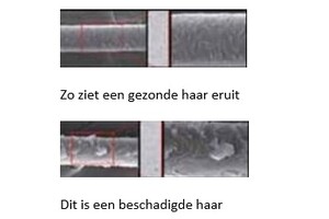 De wereld van kammen en borstels