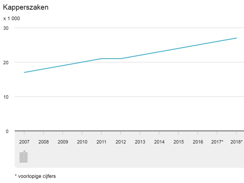Recordaantal kapperszaken